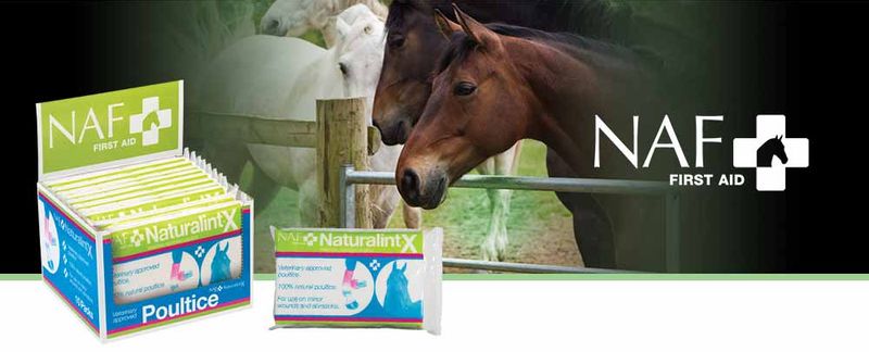 NAF NaturalintX Poultice