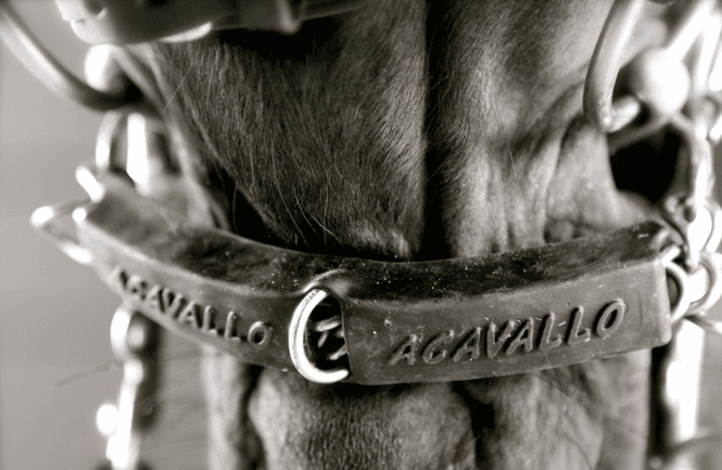 Hovedbilde Acavallo Gel Chain Guard