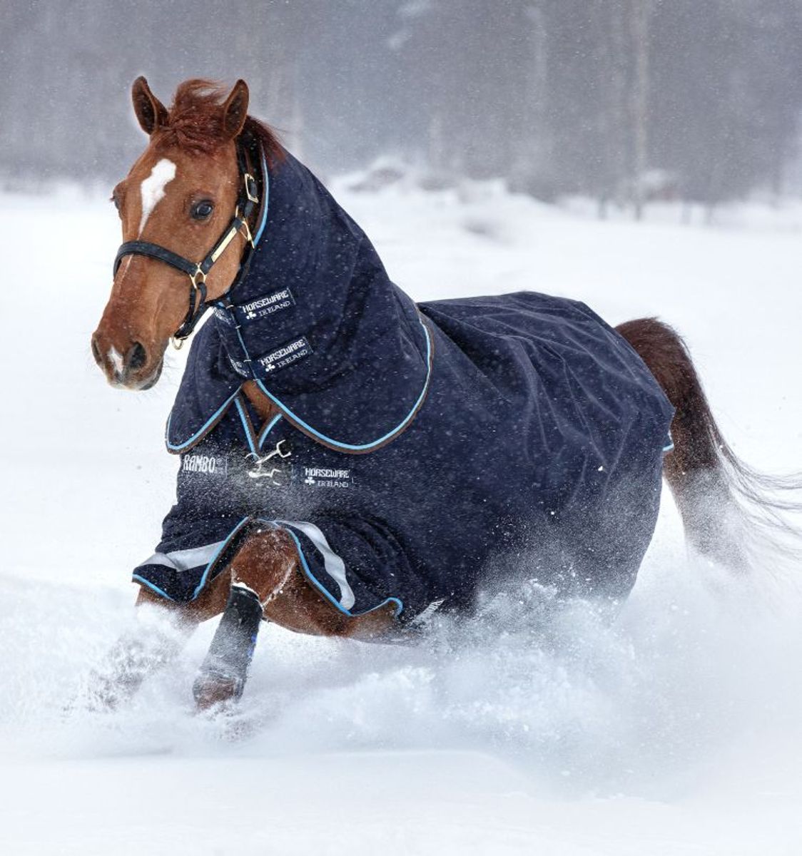 Horseware Rambo® Duo Turnout (100g Outer with 300g Liner) inkl. hals