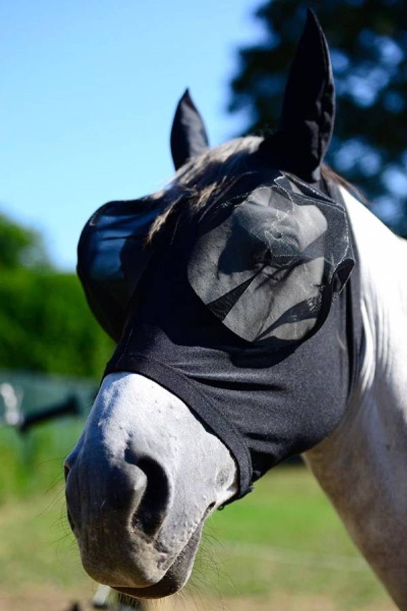 Kentucky Fly Mask Slim Fit Svart