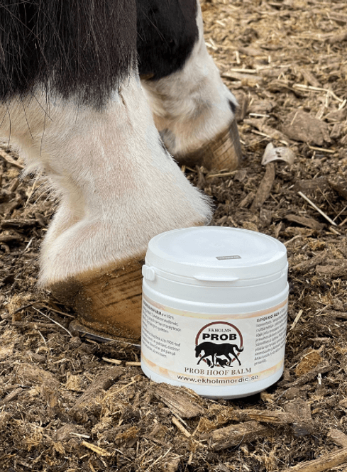 Hovedbilde Ekholms Prob - Hovbalsam 500ml