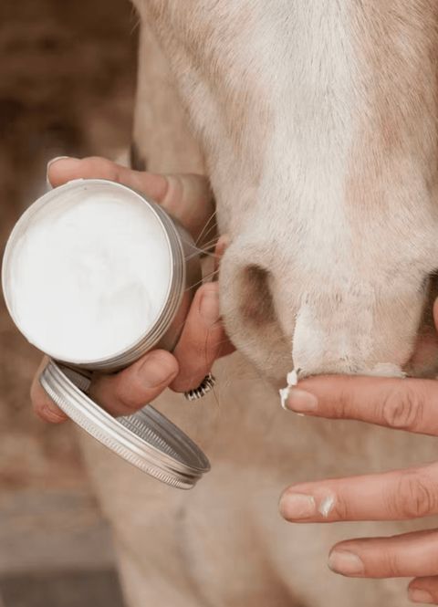 Hovedbilde Kentucky Grooming Deluxe Sunblock