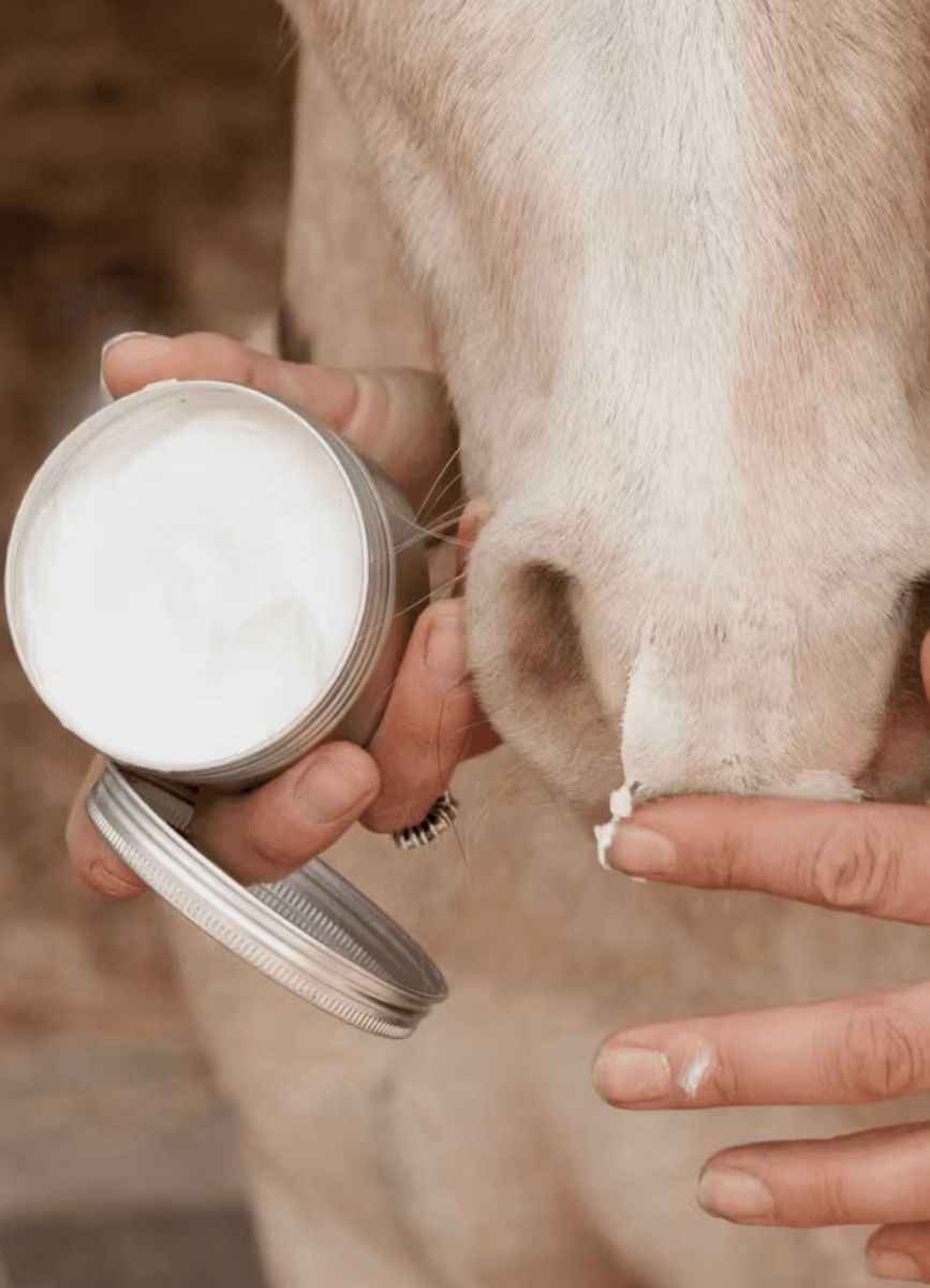 Kentucky Grooming Deluxe Sunblock