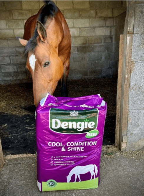 Hovedbilde Dengie Cool, Condition & Shine 20kg