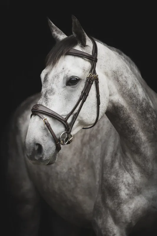 Hodelag Supreme -Fancy-