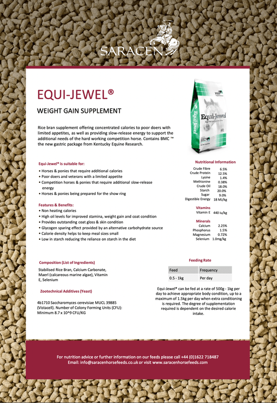 Saracen Equi-Jewel 20kg