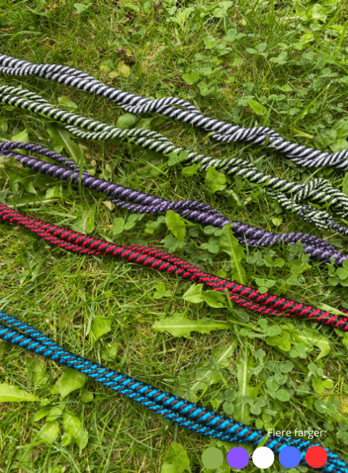 Hovedbilde Longeringspisk Assorterte farger