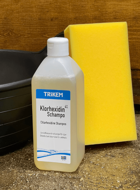 Trikem Klorhexidin Shampoo 600ml