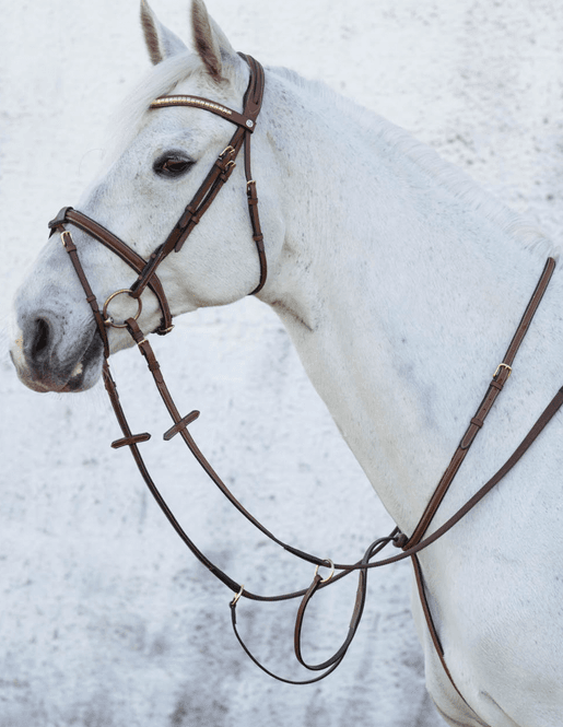 Hovedbilde Martingal Cincinatti