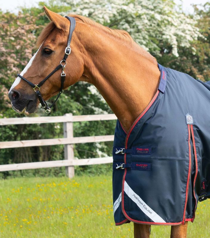 PE Buster 150g Turnout Rug with Classic Neck Cover