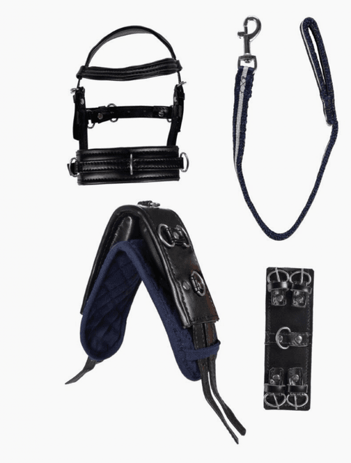 Hovedbilde Cuddle Pony Longerings-sett