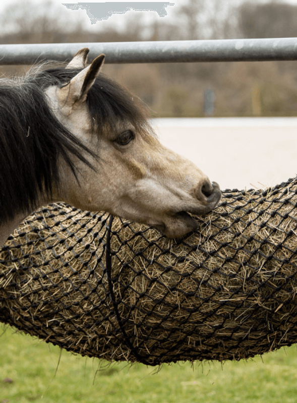 Elico Dartford Tunnel Høynett