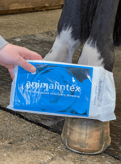 Hovedbilde Animalintex