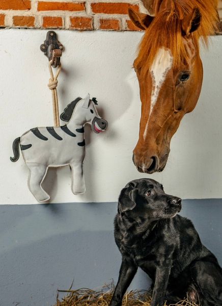 Hovedbilde Hesteleke -zebra-