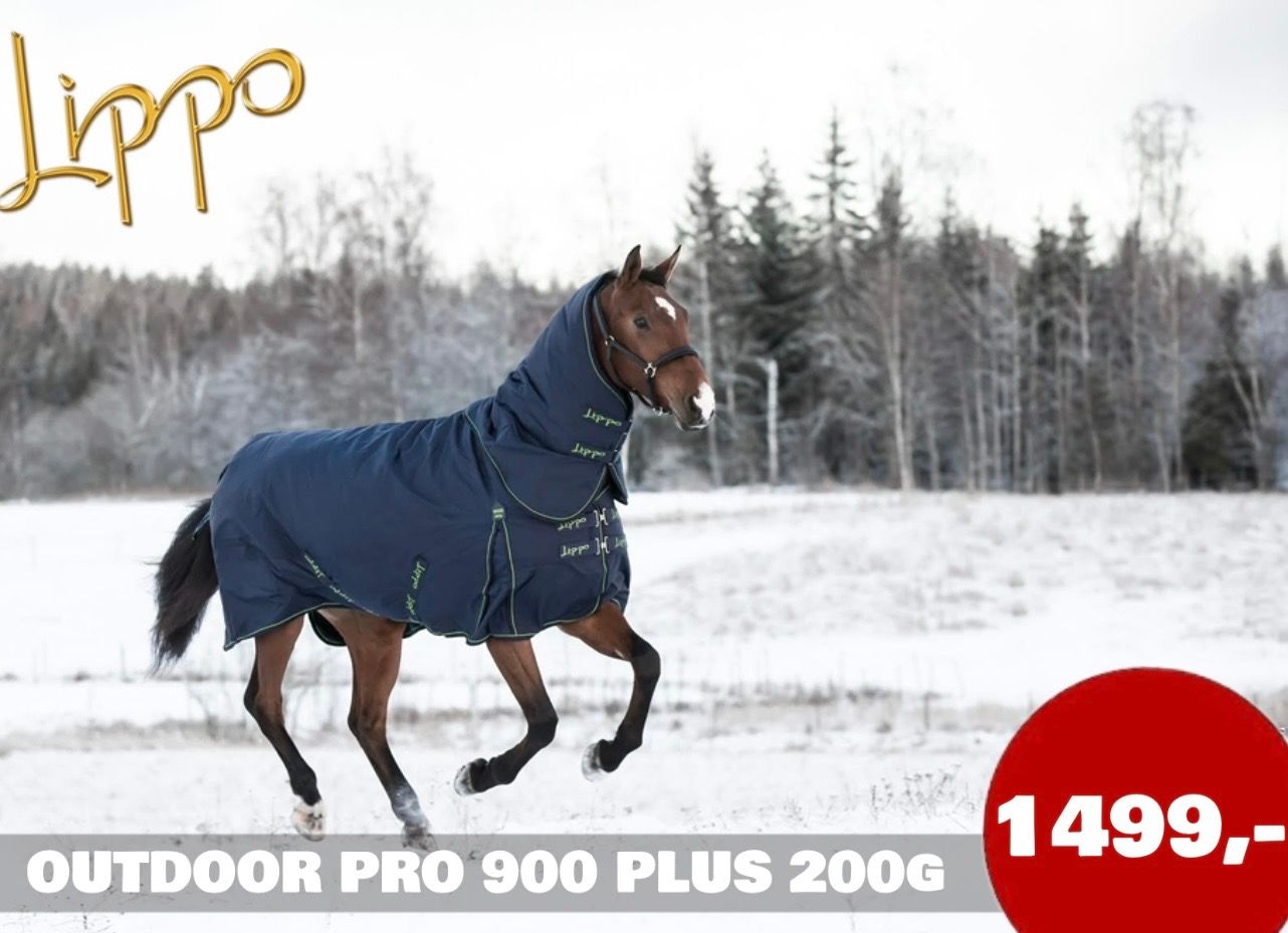 Kentucky Grooming Deluxe