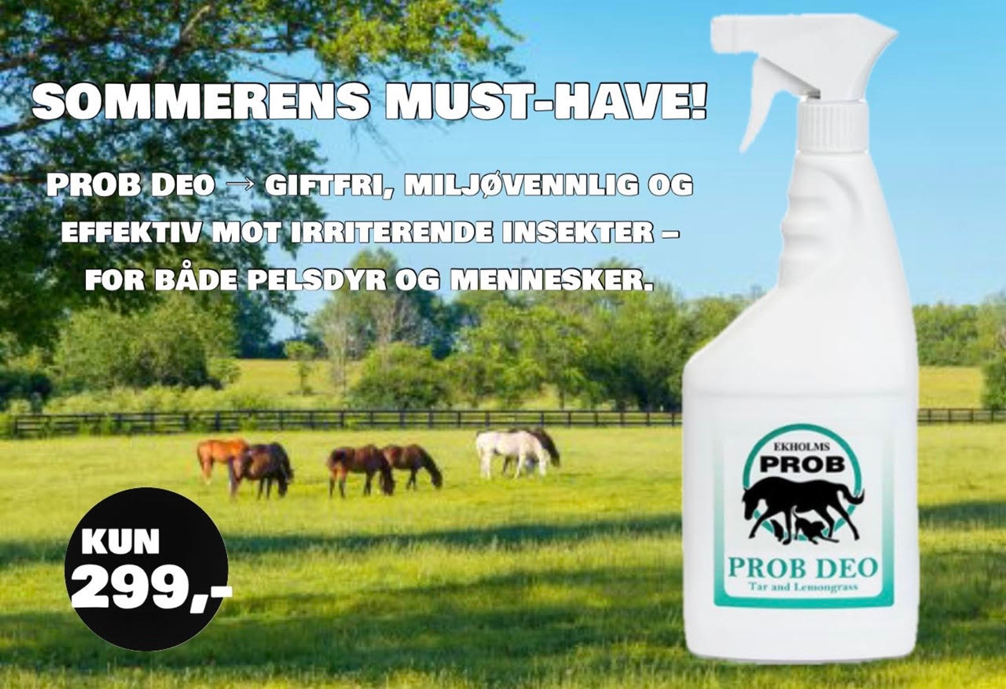 Nya produkter