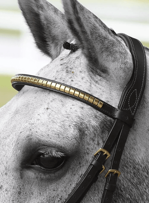 Hovedbilde Clincher Pannereim Havana/Messing