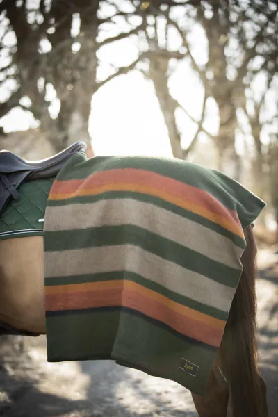 Hovedbilde Lippo Ullfilt  - Dullingham 60% ull