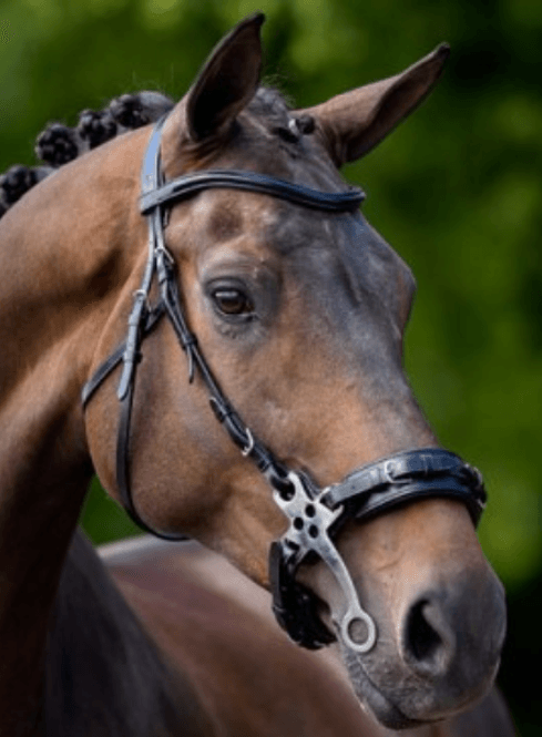 Hovedbilde BR Lydney Hackamore 